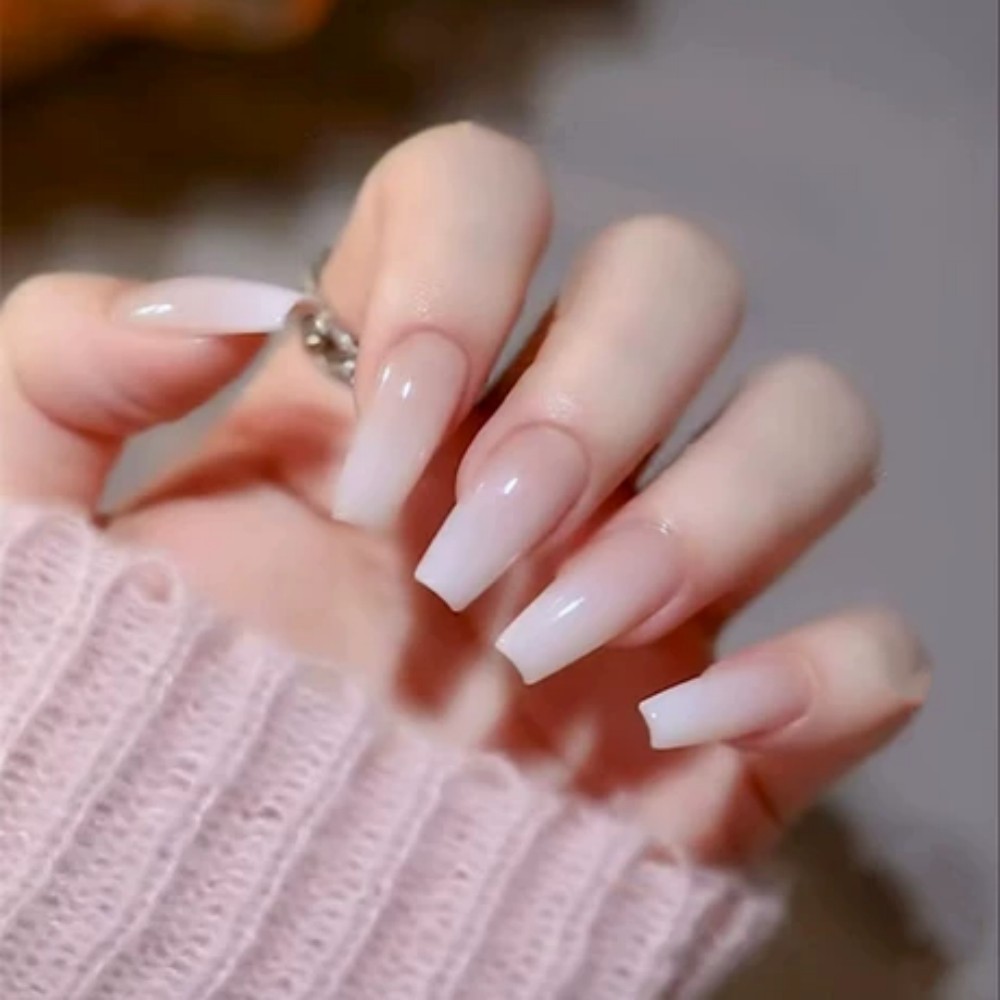24 قطعة/علبة أظافر صناعية طويل - مراجعة Nail Art Jelly وسعره